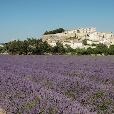 Voyage vélo Séjour vélo clé en main Provence, vignobles et lavande