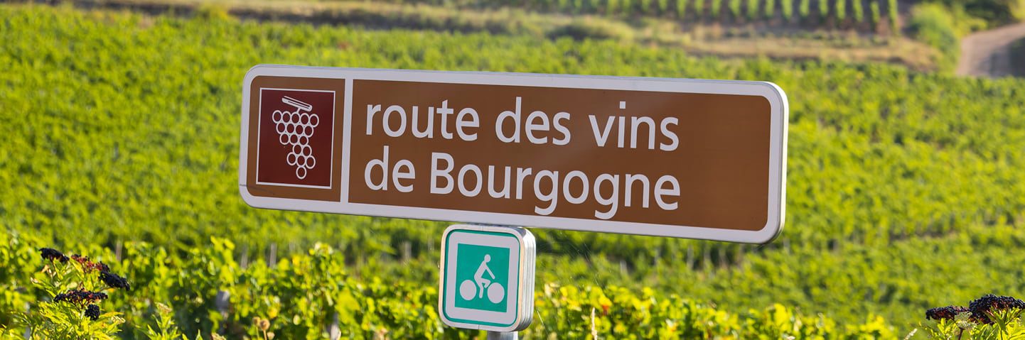 Bourgogne à vélo, route des vins de Bourgogne