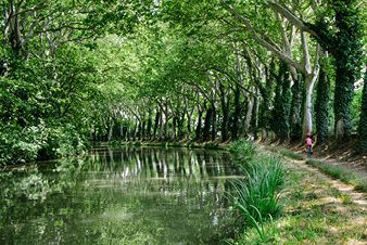 Cyclistes sur le Canal du Midi