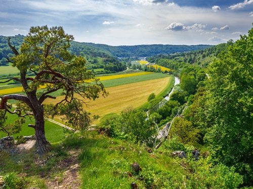 où voyager en vélo en allemagne