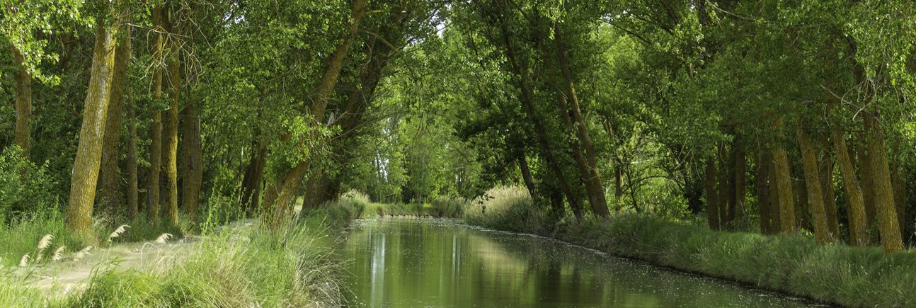 canal garonne velo itineraire par etape