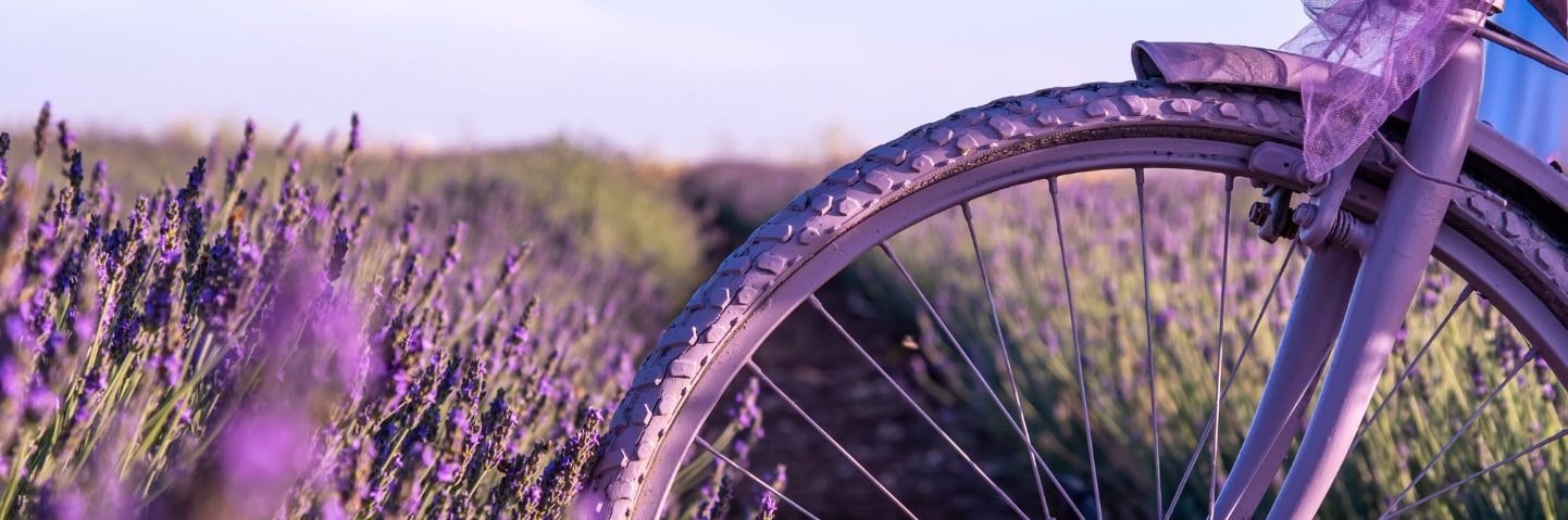 Provence à vélo location